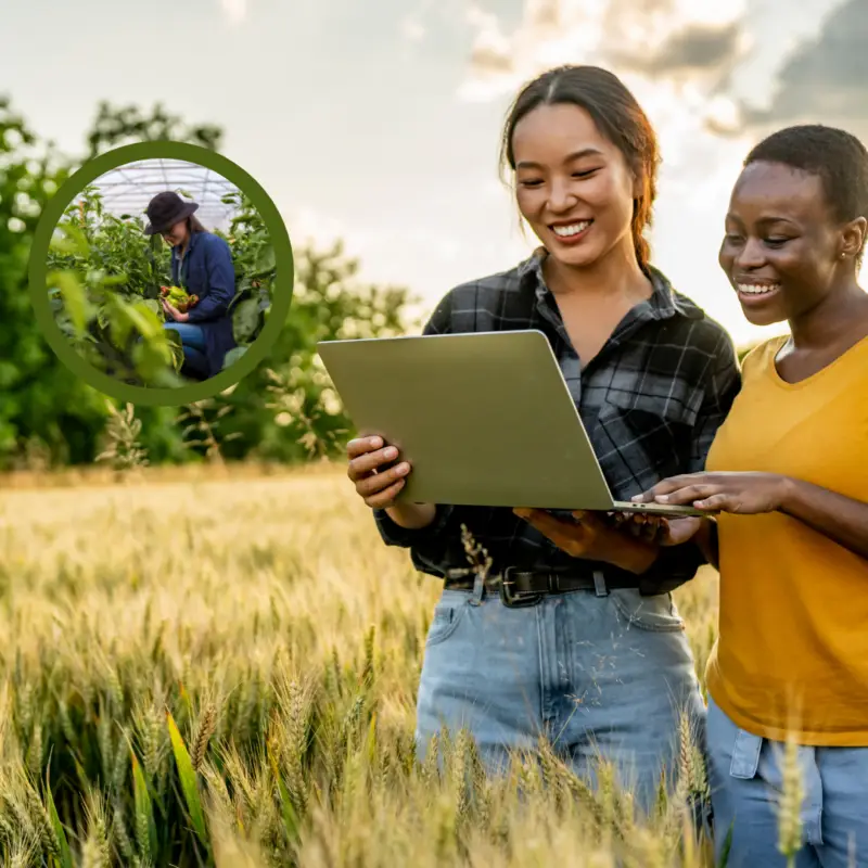 Smart Agriculture