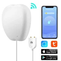 WIFI Smart Flood Sensor