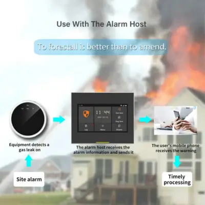 Gas Detector