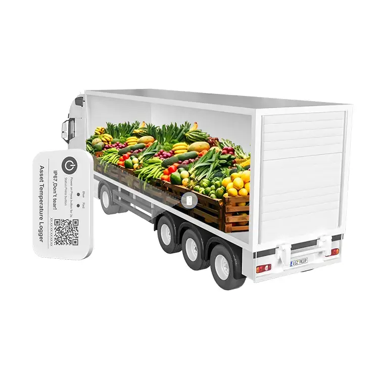 Temperature Logger (Ultra-thin) - MST03 - Image 2